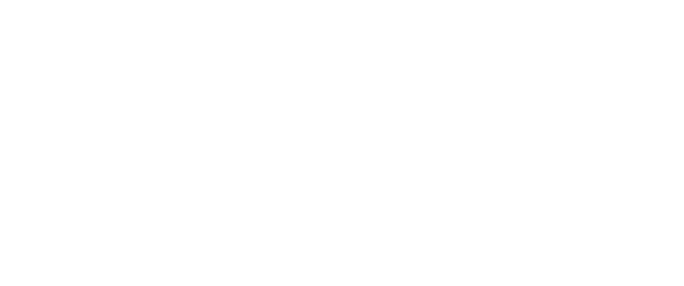Cygnus Consulting Partners